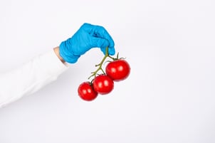 tomaten-food-shutterstock